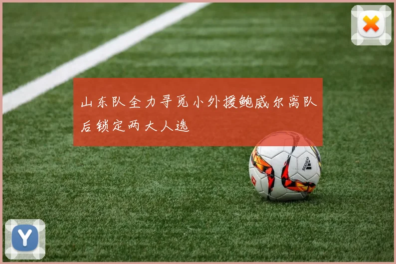 山东队全力寻觅小外援鲍威尔离队后锁定两大人选