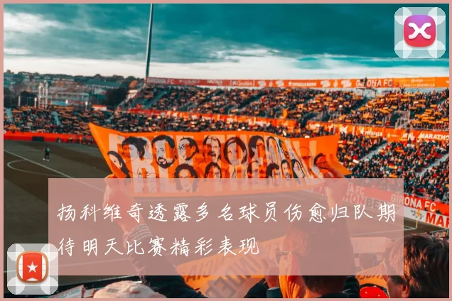扬科维奇透露多名球员伤愈归队期待明天比赛精彩表现
